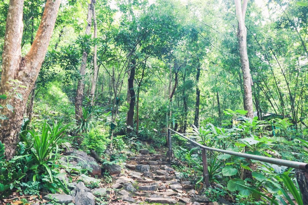 Luang Pha Wiang Cave