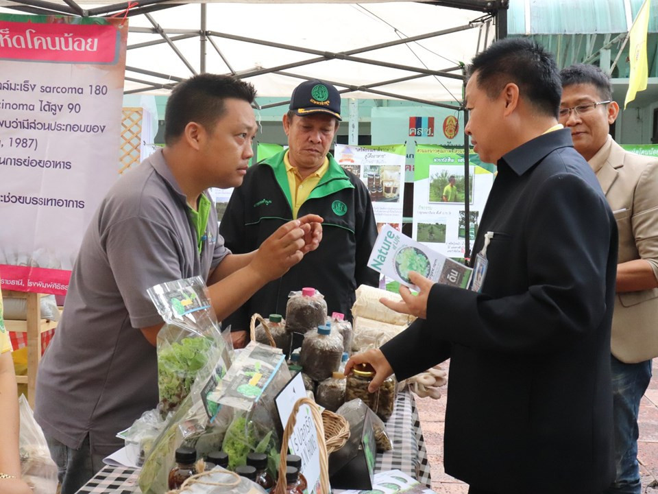 สำนักงานเกษตรจังหวัดลำพูน จัดนำเสนอผลงานของเกษตรกรรุ่นใหม่จังหวัดลำพูน (Young Smart Faemer) เพื่อเสริมสร้างศักยภาพเกษตรกรรุ่นใหม่สู่การเป็นผู้ประกอบการมืออาชีพ