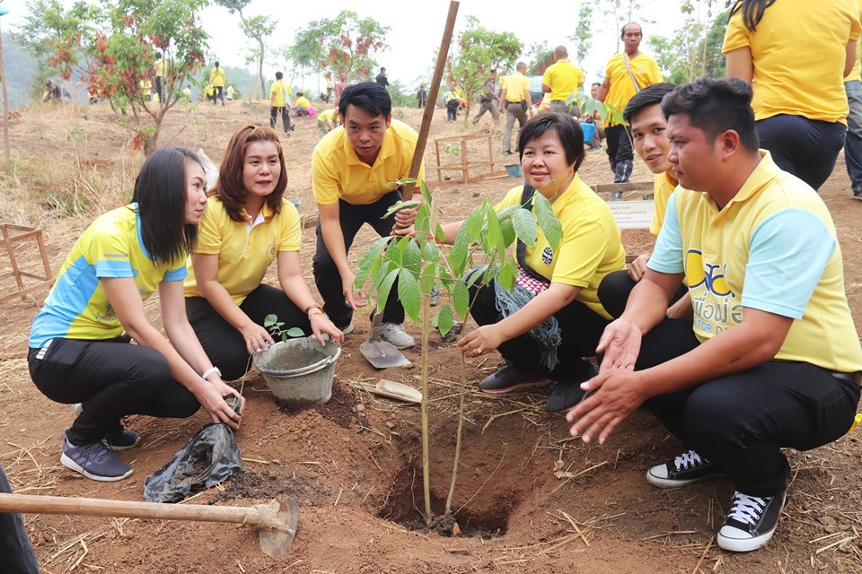 ศูนย์พัฒนาราษฎรบนพื้นที่สูงจังหวัดลำพูน จัดโครงการร่วมใจรักษ์ ปลูกต้นไม้ เฉลิมพระเกียรติเนื่องในโอกาสมหามงคลพระราชพิธีบรมราชาภิเษก เพื่อคืนความอุดมสมบูรณ์ให้กับผืนป่า