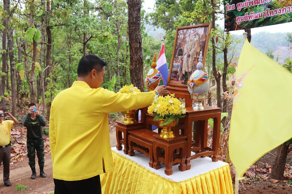 ศูนย์พัฒนาราษฎรบนพื้นที่สูงจังหวัดลำพูน จัดโครงการร่วมใจรักษ์ ปลูกต้นไม้ เฉลิมพระเกียรติเนื่องในโอกาสมหามงคลพระราชพิธีบรมราชาภิเษก เพื่อคืนความอุดมสมบูรณ์ให้กับผืนป่า