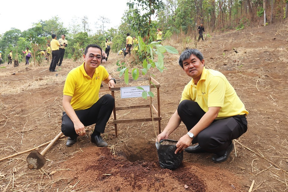 ศูนย์พัฒนาราษฎรบนพื้นที่สูงจังหวัดลำพูน จัดโครงการร่วมใจรักษ์ ปลูกต้นไม้ เฉลิมพระเกียรติเนื่องในโอกาสมหามงคลพระราชพิธีบรมราชาภิเษก เพื่อคืนความอุดมสมบูรณ์ให้กับผืนป่า