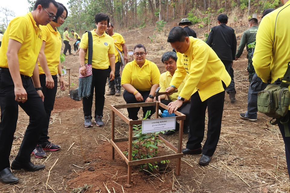 ศูนย์พัฒนาราษฎรบนพื้นที่สูงจังหวัดลำพูน จัดโครงการร่วมใจรักษ์ ปลูกต้นไม้ เฉลิมพระเกียรติเนื่องในโอกาสมหามงคลพระราชพิธีบรมราชาภิเษก เพื่อคืนความอุดมสมบูรณ์ให้กับผืนป่า