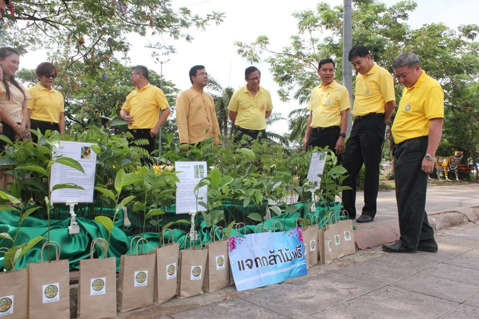 จังหวัดลำพูน จัดกิจกรรมวันต้นไม้ประจำปีของชาติ พ.ศ.2562 โดยมีการปลูกต้นเหลืองปรีดียาธรซึ่งเป็นดอกไม้ที่มีสีเหลือง จำนวน 370 ต้น ซึ่งเป็นสีที่ตรงกับวันพระราชสมภพ พระบาทสมเด็จพระปรเมนทรรามาธิบดีศรีสินทรมหาวชิราลงกรณฯ พระวชิรเกล้าเจ้าอยู่หัว ซึ่งเป็นการเพิ่มพื้นที่สีเขียวในเขตเมืองและชุมชน