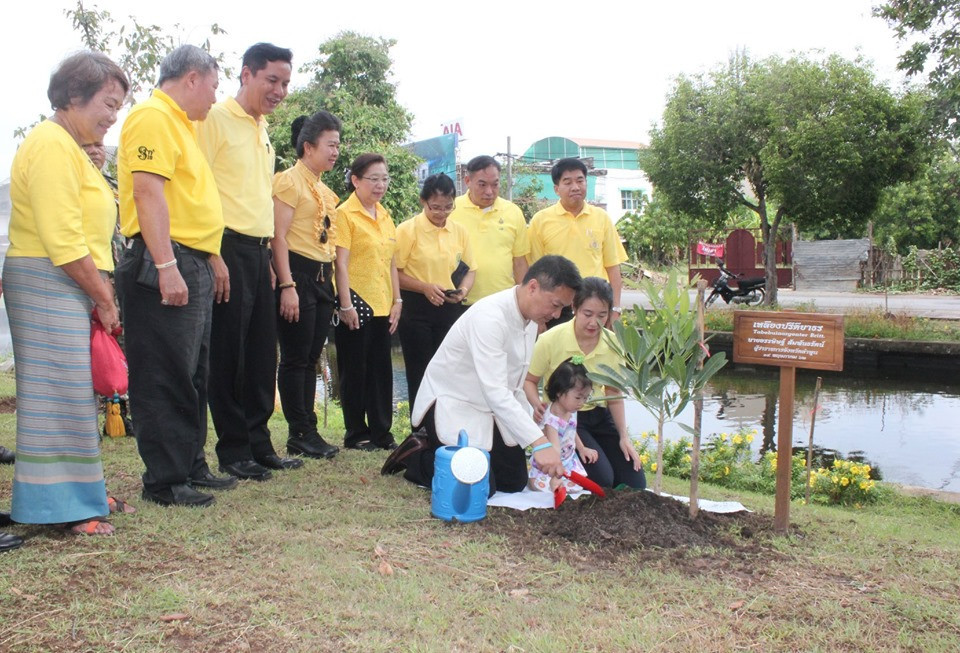 จังหวัดลำพูน จัดกิจกรรมวันต้นไม้ประจำปีของชาติ พ.ศ.2562 โดยมีการปลูกต้นเหลืองปรีดียาธรซึ่งเป็นดอกไม้ที่มีสีเหลือง จำนวน 370 ต้น ซึ่งเป็นสีที่ตรงกับวันพระราชสมภพ พระบาทสมเด็จพระปรเมนทรรามาธิบดีศรีสินทรมหาวชิราลงกรณฯ พระวชิรเกล้าเจ้าอยู่หัว ซึ่งเป็นการเพิ่มพื้นที่สีเขียวในเขตเมืองและชุมชน