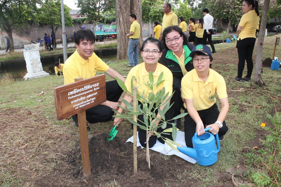 จังหวัดลำพูน จัดกิจกรรมวันต้นไม้ประจำปีของชาติ พ.ศ.2562 โดยมีการปลูกต้นเหลืองปรีดียาธรซึ่งเป็นดอกไม้ที่มีสีเหลือง จำนวน 370 ต้น ซึ่งเป็นสีที่ตรงกับวันพระราชสมภพ พระบาทสมเด็จพระปรเมนทรรามาธิบดีศรีสินทรมหาวชิราลงกรณฯ พระวชิรเกล้าเจ้าอยู่หัว ซึ่งเป็นการเพิ่มพื้นที่สีเขียวในเขตเมืองและชุมชน