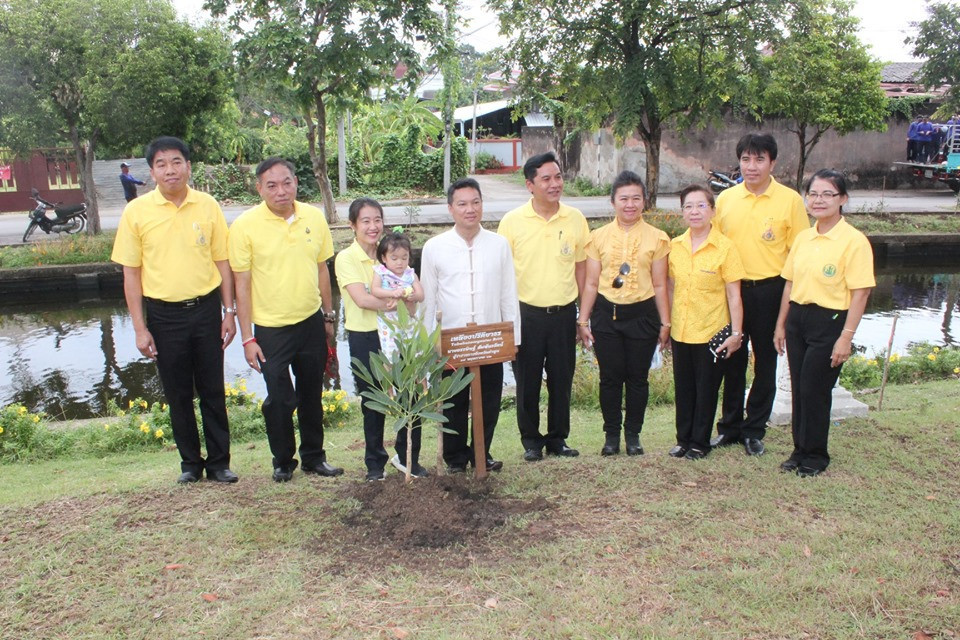 จังหวัดลำพูน จัดกิจกรรมวันต้นไม้ประจำปีของชาติ พ.ศ.2562 โดยมีการปลูกต้นเหลืองปรีดียาธรซึ่งเป็นดอกไม้ที่มีสีเหลือง จำนวน 370 ต้น ซึ่งเป็นสีที่ตรงกับวันพระราชสมภพ พระบาทสมเด็จพระปรเมนทรรามาธิบดีศรีสินทรมหาวชิราลงกรณฯ พระวชิรเกล้าเจ้าอยู่หัว ซึ่งเป็นการเพิ่มพื้นที่สีเขียวในเขตเมืองและชุมชน